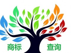 如何應(yīng)對商標查詢盲期？